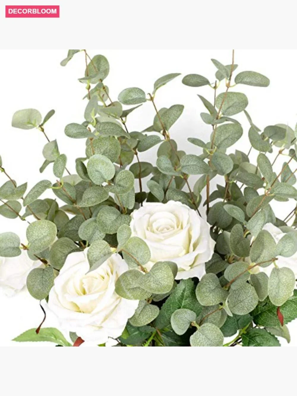 6 Stems 27